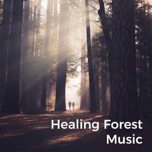 Healing Forest Music - Spiritualizer