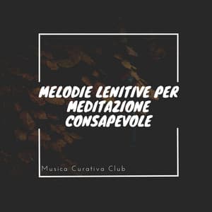 Melodie lenitive per meditazione consapevole - Musica Curativa Club
