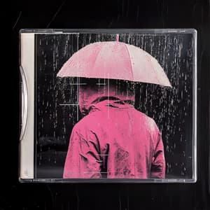 Rain Wet and Wild - 24H Rain Sounds