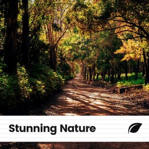 Stunning Nature - Tranquility Spa Universe