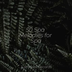 50 Spa Melodies for Spa - Musica Romantica