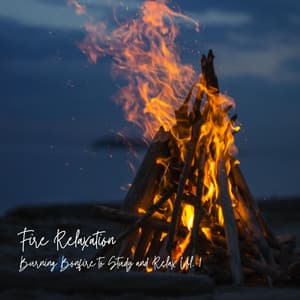 Fire Relaxation: Burning Bonfire to Study and Relax Vol. 1 - Jazz Music for Studying