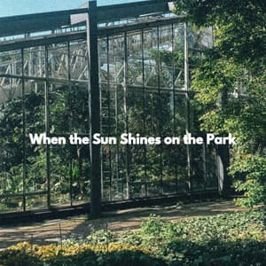 When the Sun Shines on the Park - Jazz Acustico