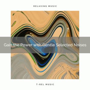 2020 Best: Gain the Power with Gentle Selected Noises - Rain Sleep Sound and White Noise