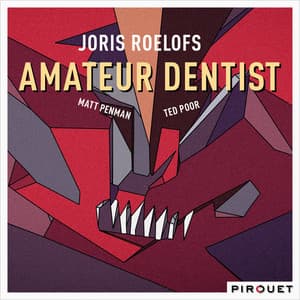 Amateur Dentist - Joris Roelofs