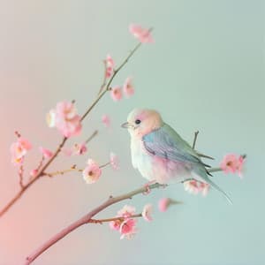 Serenidad Del Arroyo: Armonía De Meditación Binaural De Aves - 80 88 Hz - Música Para Meditar y Relajarse