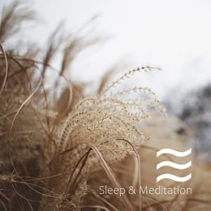 La Collecion de Música Calmante Para Meditar Interna y Relajar Mejor - Maestros de música de la meditación