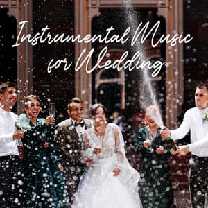 Instrumental Music for Wedding Backdrop - Instrumental Wedding Music Zone