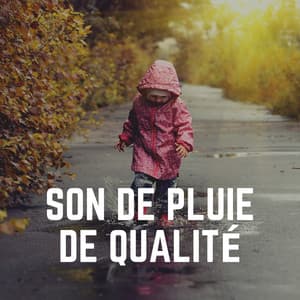 Son de Pluie de Qualité - Pluie et tonnerre