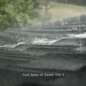 Cool Rain of Dawn Vol. 1 - 1 Hour Spa Music