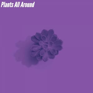 Plants All Around - Jazz Para Dormir
