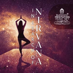 In Search Of Nirvana - Asana Voce