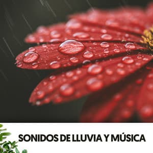 Sonidos de Lluvia y música: Melodías de la lluvia - Ruido Blanco Hart