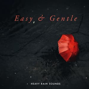 Easy & Gentle - Heavy Rain Sounds