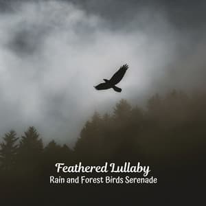 Feathered Lullaby: Rain and Forest Birds Serenade - HD Rain and Water