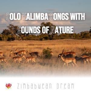 Solo Kalimba Songs with Sounds of Nature - Zimbabwean Dream