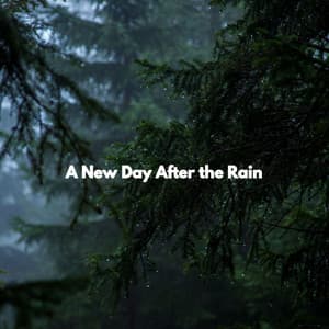 A New Day After the Rain - Hotel & Jazz Groove