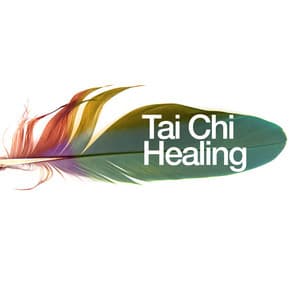 Tai Chi Healing - Tai Chi And Qigong
