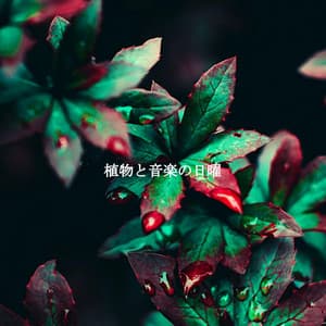 植物と音楽の日曜 - Musica para Leer Ambiente