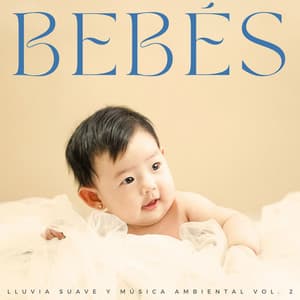 Bebés: Lluvia Suave Y Música Ambiental Vol. 2 - Sonido de lluvia