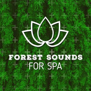Forest Sounds for Spa - Forest Sounds Relaxing Spa Music Singing Birds