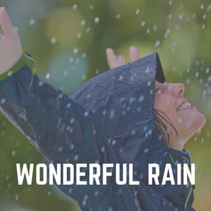 Wonderful Rain - Factorial FX
