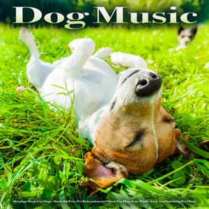 Dog Music: Sleeping Music For Dogs, Music for Pets, Pet Relaxation and Music For Dogs Ears While Away And Soothing Pet Music - Benjamin Shadows