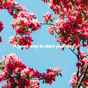 A good way to start your day - Musik zum Kochen