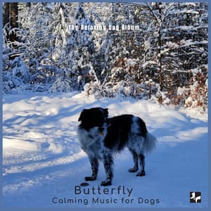 The Relaxing Dog Album - Butterfly Calming Music for Dogs