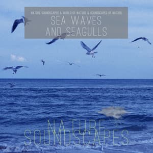 Sea Waves and Seagulls - Nature Soundscapes