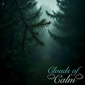 741 Hz - Enter a Deep State of Meditation & Connect to Universal Consciousness - Aster alpinus