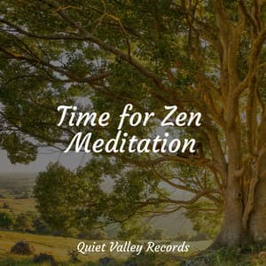 Time for Zen Meditation - Música Zen Relaxante