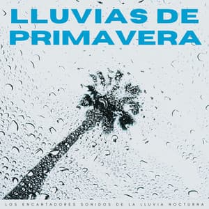 Lluvias De Primavera: Los Encantadores Sonidos De La Lluvia Nocturna - Ruidos de la Selva