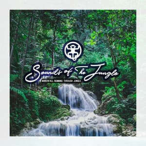 Waterfall Running Through Jungle - Sounds of the Jungle