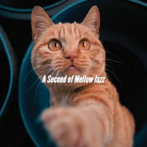 A Second of Mellow Jazz - Retail Jazz