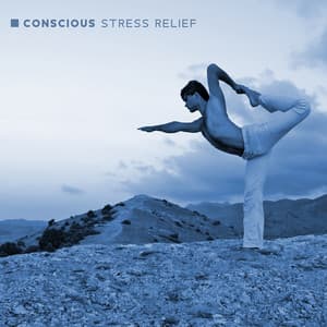 Conscious Stress Relief: Relaxing Hang Drum Music for Yoga Nidra and Guided Meditation - Flow Yoga Workout Music