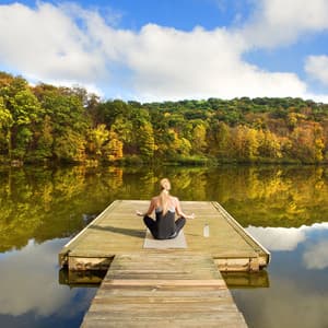 River's Reflection: Stillness in Nature's Singing Bird Meditation - Fine Dining Music