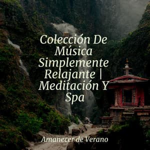 Colección De Música Simplemente Relajante | Meditación Y Spa - Relaxing Spa Music