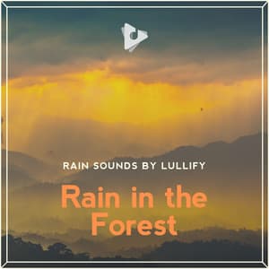 Rain in the Forest - Rain Sounds by Lullify