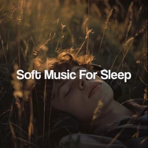 Soft Music For Sleep - Spa Music Relaxation Meditation