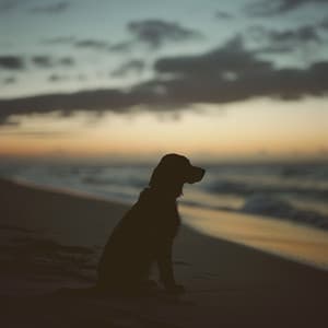 Melodías Costeras: Paseos Oceánicos Para Perros - Perros relajantes