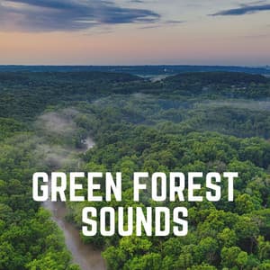 Green Forest Sounds - Mother Nature Recordings