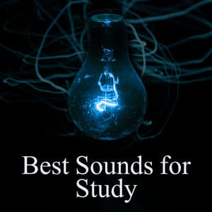 Best Sounds for Study – Piano New Age Music, Soothing Background Sounds, Sounds of Nature for Learning, Brain Power - Study Piano Music Ensemble