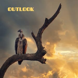 Outlook - Guitar Instrumentals