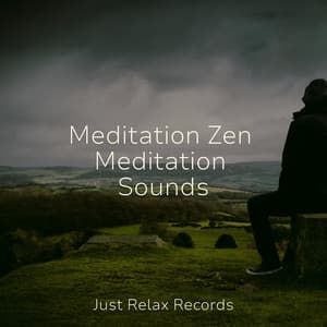 Meditation Zen Meditation Sounds - Música para Relajarse Profundamente