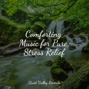 Comforting Music for Pure Stress Relief - Sleep Songs 101