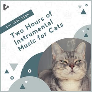 2 Hours of Instrumental Music for Cats - Cat Music Hour