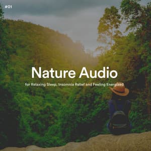 #01 Nature Audio for Relaxing Sleep, Insomnia Relief and Feeling Energized - The Nature Soundscapes