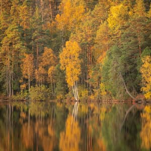 1 Ambient: Mystical Mountain - Baltic Nature Sounds