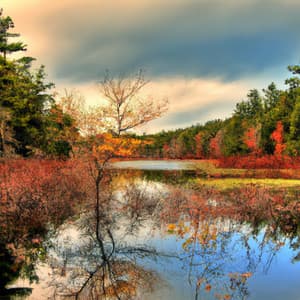 ! ! ! ! Wistful Reflections - Música Relajante